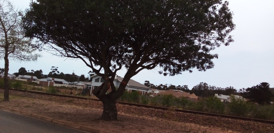 0 Bedroom Property for Sale in Albertinia Western Cape